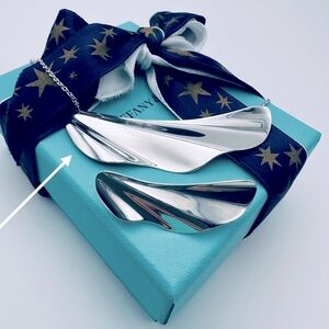 RARE Tiffany & Co. High Tide Necklace Sterling Silver 28” with Packaging